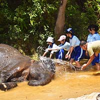 Outdoor Study Kelas VIII Ke Pusat Konservasi Gajah Balai Besar KSDA Riau